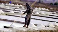 Harga garam yang tinggi semanis bulan madu justru tak bisa dirasakan sama sekali oleh petani garam di Jeneponto. (Liputan6.com/Ahmad Yusran)