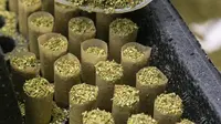 Rokok Bercampur Ganja dan Sabu Cair Beredar Bebas di Sumatera