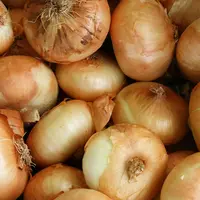 Bawang bombay/copyright: unsplash/lars blankers