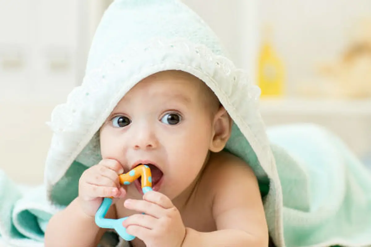 Foto: copyright thinkstockphotos.com