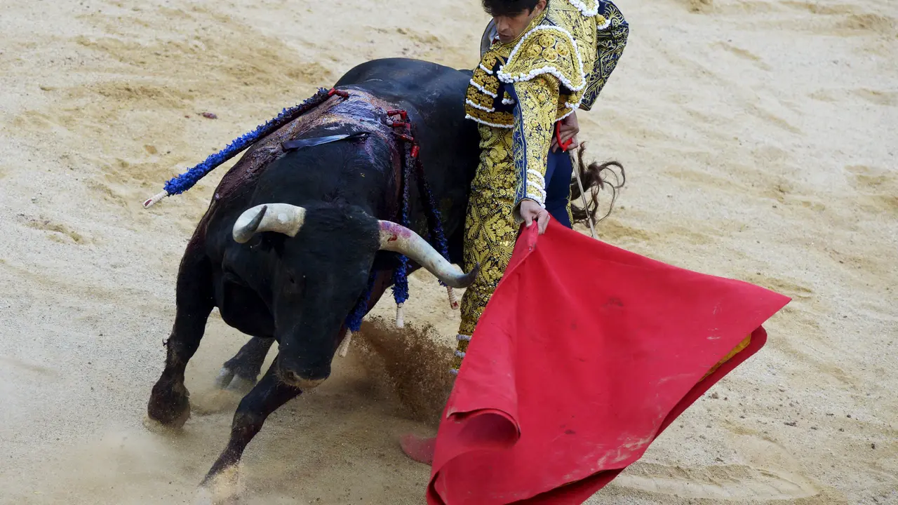 20150707-Matador vs Banteng-Spanyol