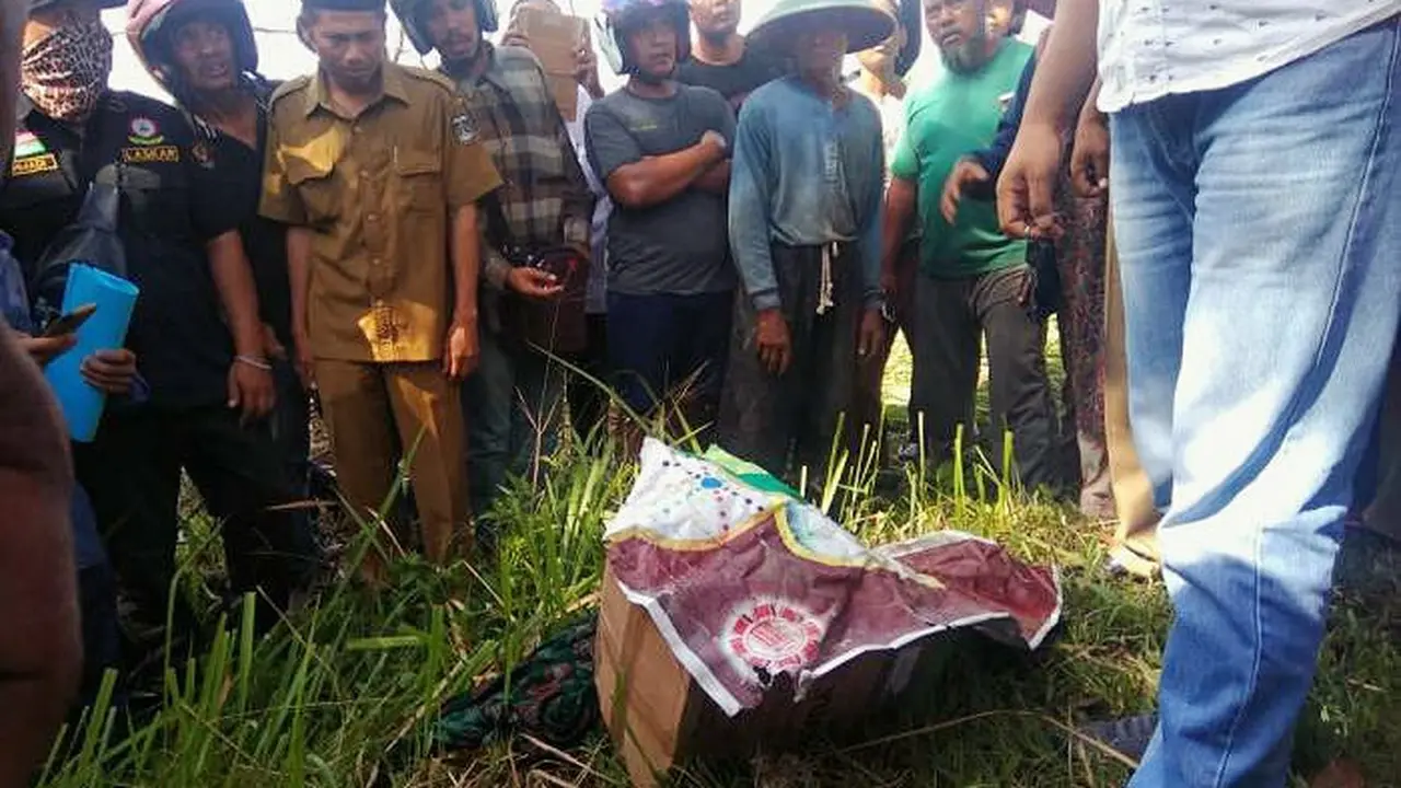 Bayi Dalam Kardus