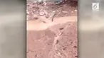 Terjadi hujan ikan di langit India yang membuat banyak orang terheran-heran. Diduga ikan-ikan tersebut melayang dan terbawa oleh Topan Phetai.