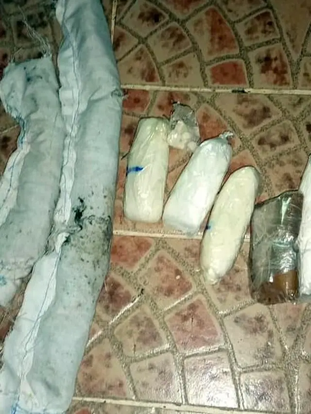 Zat ilegal yang ditemukan di dalam tas kucing