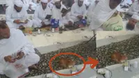 Terdapat kejadian unik menjelang waktu berbuka tiba di sebuah mesjid di Mekah. Seekor kucing turut menunggu dengan sabar waktu berbuka tiba