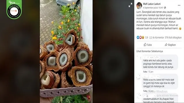 Gambar Tangkapan Layar Foto Buah Zuriat