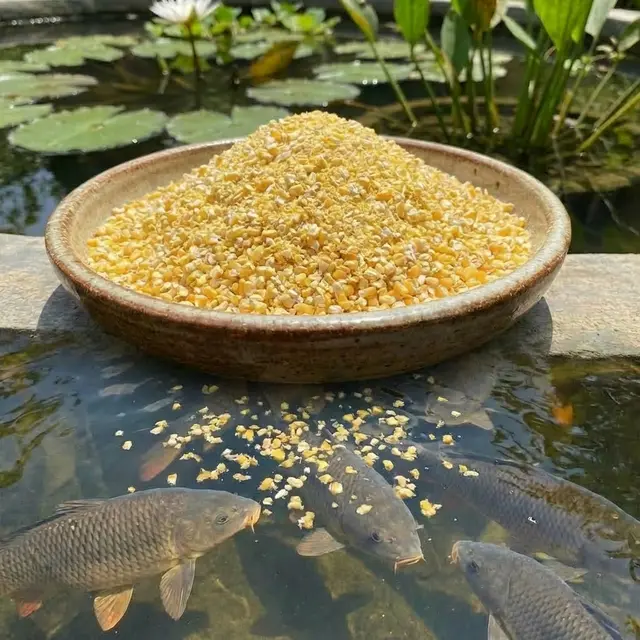 Ilustrasi Jagung Giling