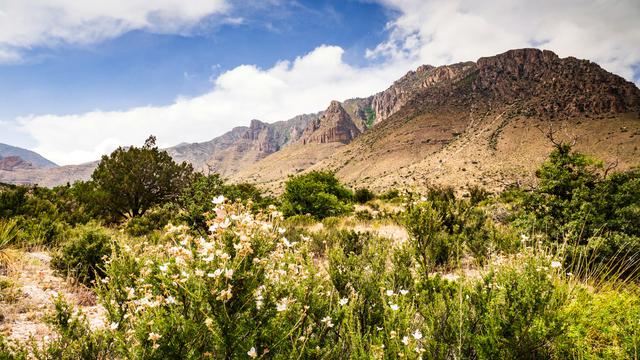 Guadalupe Mountains National Park