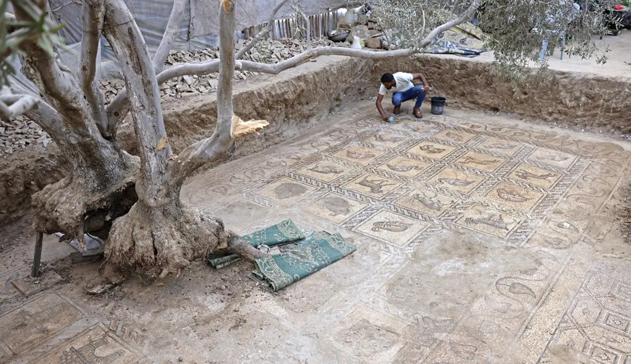Mosaik era Bizantium ditemukan di Bureij, Jalur Gaza, Palestina, 18 September 2022. Nabahin dan putranya kemudian menemukan beberapa bagian lagi yang menggambarkan binatang dan burung berwarna-warni. (MOHAMMED ABED/AFP)