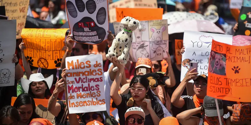 Aktivis Meksiko Berunjuk Rasa Kecam Kekejaman Terhadap Hewan