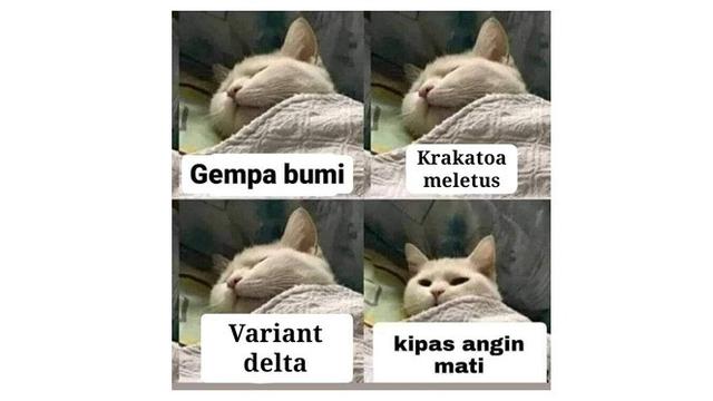 7 Meme Cara Bangun Mendadak dari Tidur, Bikin Ikut Mengangguk