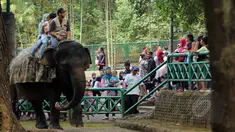 Suasana Kebun Binatang Ragunan saat libur Kenaikan Isa Almasih, Jakarta, Kamis (14/5/2015) Jelang Hari Libur panjang Warga Jakarta dan sekitarnya  memanfaatkan liburan ke Tempat Wisata. (Liputan6.com/Helmi Afandi)