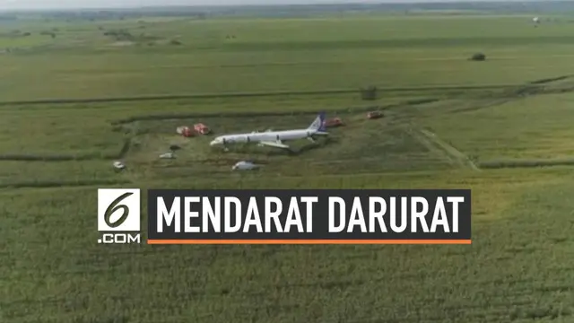 Sebuah pesawat penumpang Rusia jenis airbus  terpaksa mendarat darurat di ladang jagung setelah bertabrakan dengan kawanan burung. Beruntung tidak ada korban jiwa dalam kecelakaan ini.