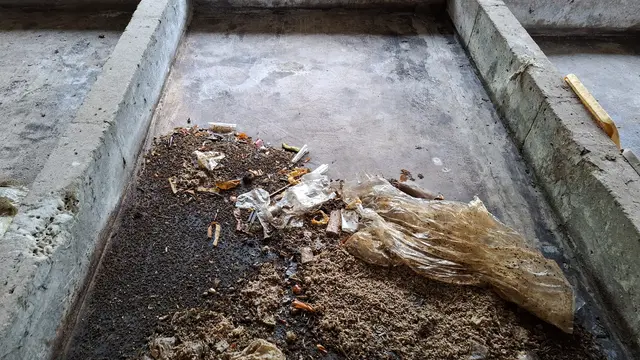 Pusat budidaya maggot di Pega Indonesia, Banyuwangi, Jawa Timur. (Foto: Liputan6.com/Agustina Melani)