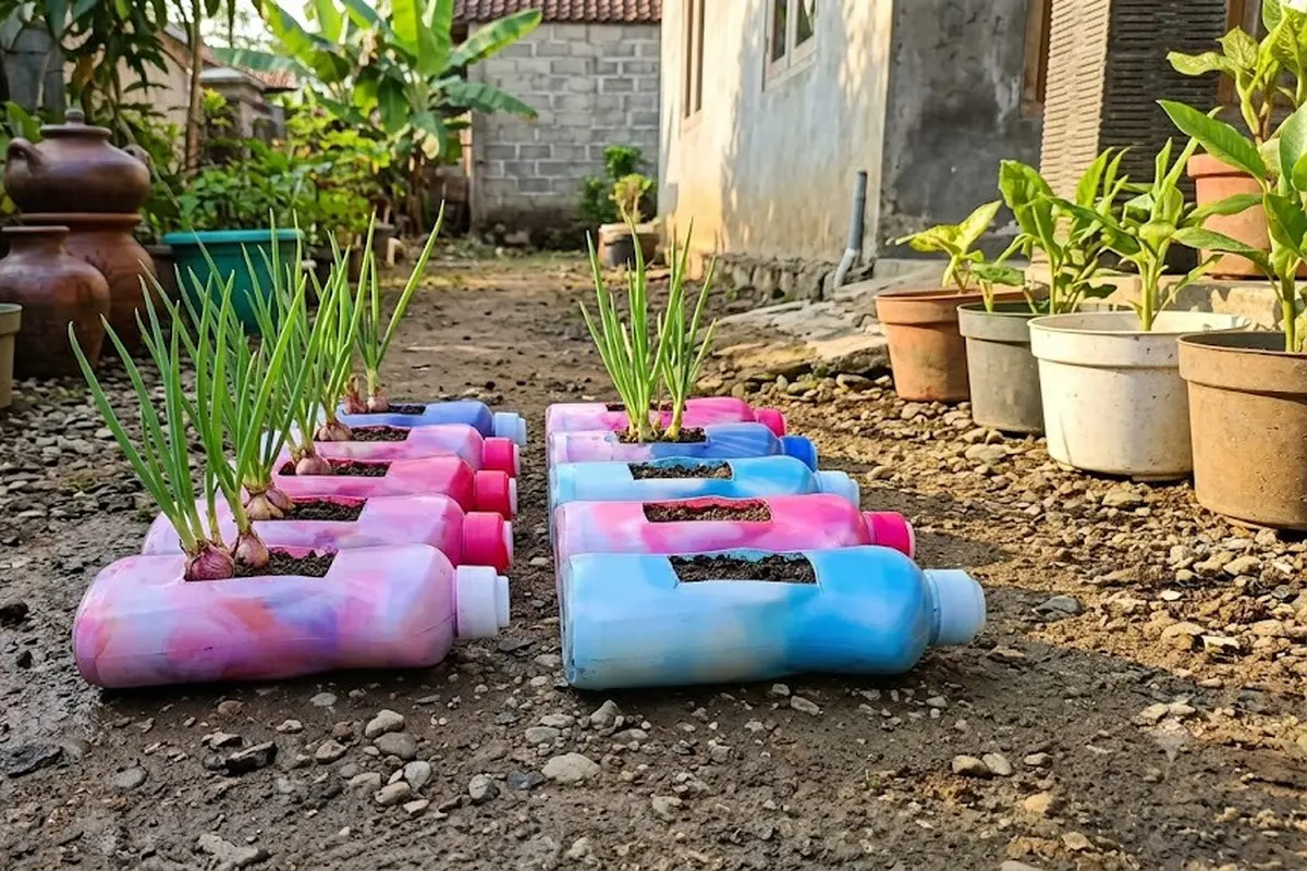 Tanaman yang Cocok Ditanam di Botol Bekas Detergen 700 ml untuk Kebun Mini