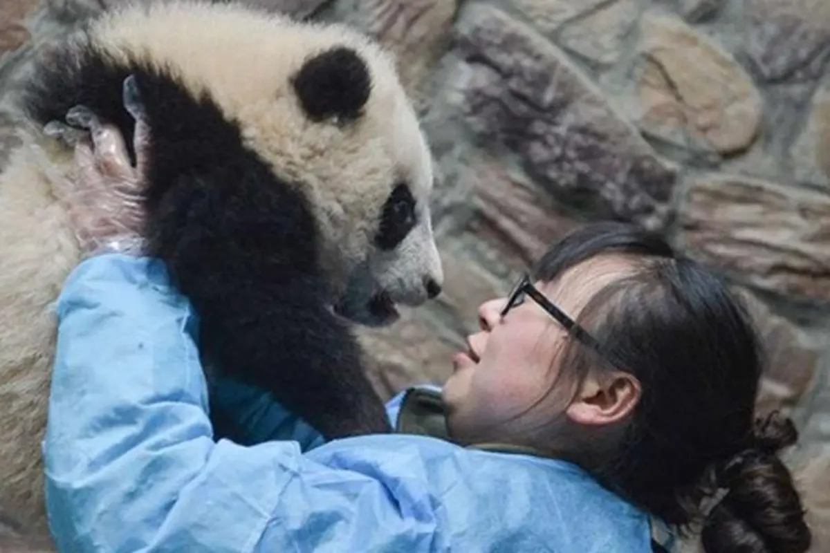 Photo: Copyright shanghaiist.com