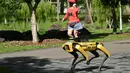 Seorang perempuan berolahraga melintasi robot berkaki empat yang mirip anjing, Spot selama uji coba dua minggu di Bishan-Ang Moh Kio Park, Singapura pada 8 Mei 2020. Robot itu menyiarkan pesan untuk mengingatkan warga untuk melakukan jaga jarak di tengah pandemi virus corona. (Roslan RAHMAN/AFP)