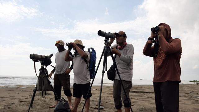 Pengamatan Burung Migran