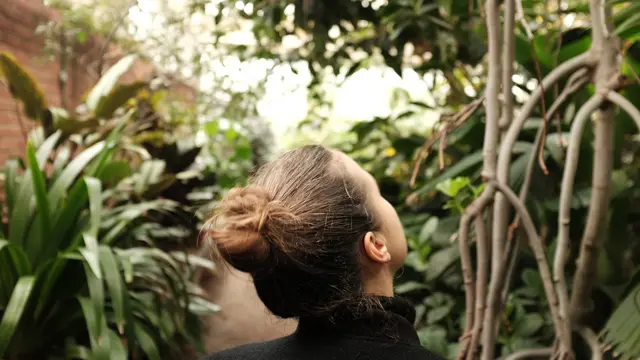 [Bintang] Tarot Hari Ini: Yakin Rumput Tetangga Lebih Hijau?