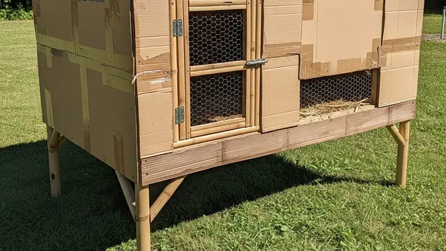 Desain Kandang Ayam dari Kardus Bekas