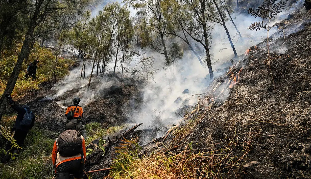 Petugas berupaya memadamkan kebakaran hutan di kawasan Taman Nasional Bromo Tengger Semeru (TNBTS), Kabupaten Probolinggo, Jawa Timur, Kamis (6/8/2026). (AFP/ Juni Kriswanto)