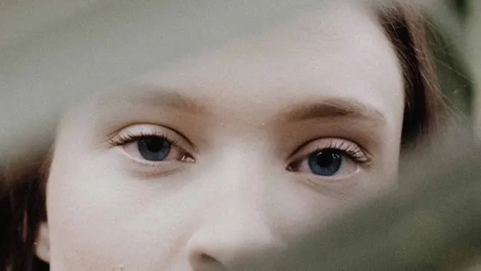 Copyright: unsplash/aldo delara