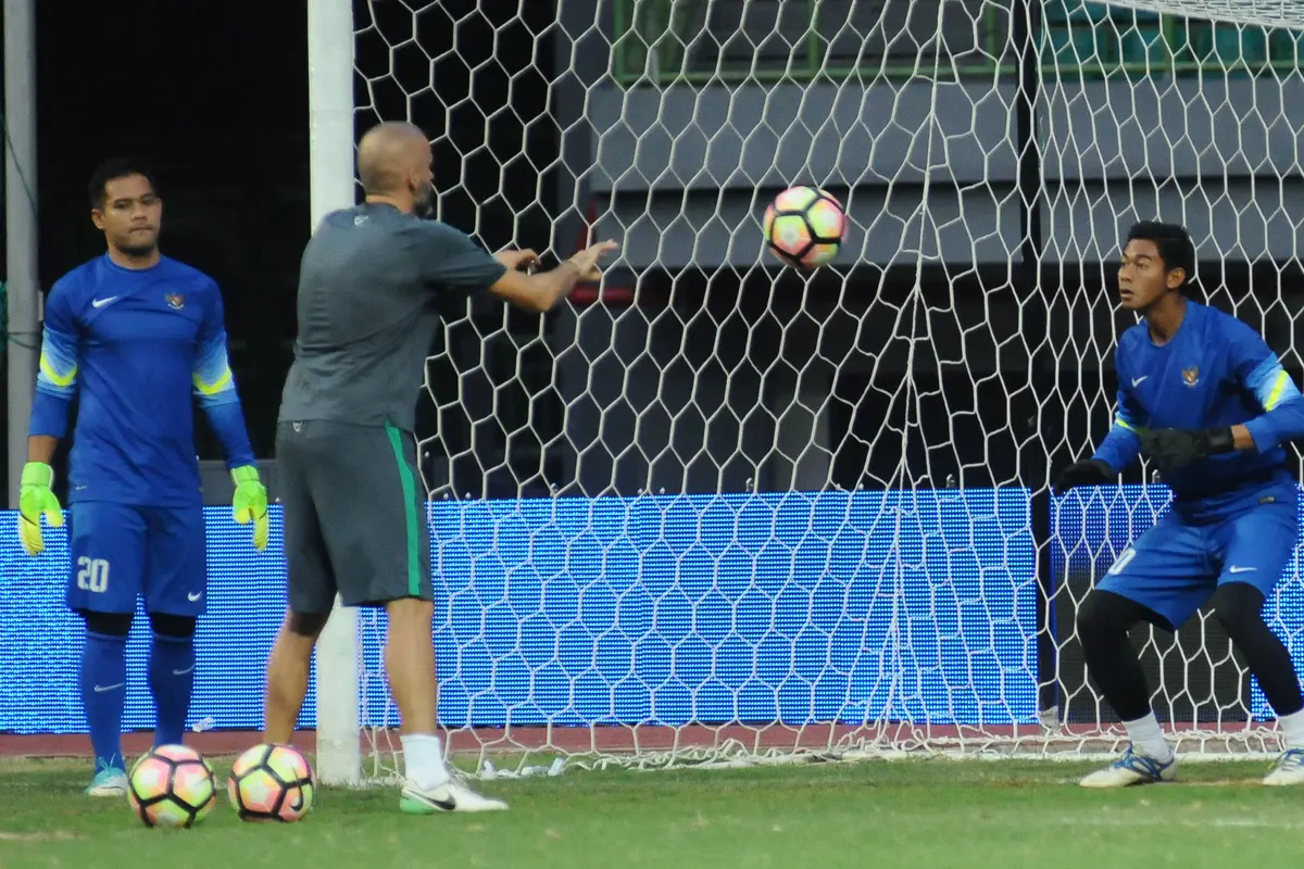Satria Tama, timnas Indonesia