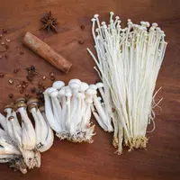 Ilustrasi/copyright shutterstock.com