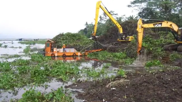Revitalisasi Danau Rawa Pening