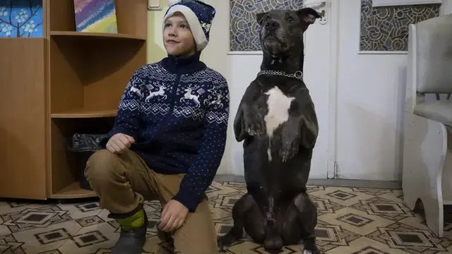 Seorang anak laki-laki berfoto dengan anjing American Pit Bull Terrier "Bice" di Pusat Rehabilitasi Sosial dan Psikologis di Boyarka dekat Kyiv, Ukraina, Rabu, 7 Desember 2022. (Vasilisa Stepanenko/AP Photo)