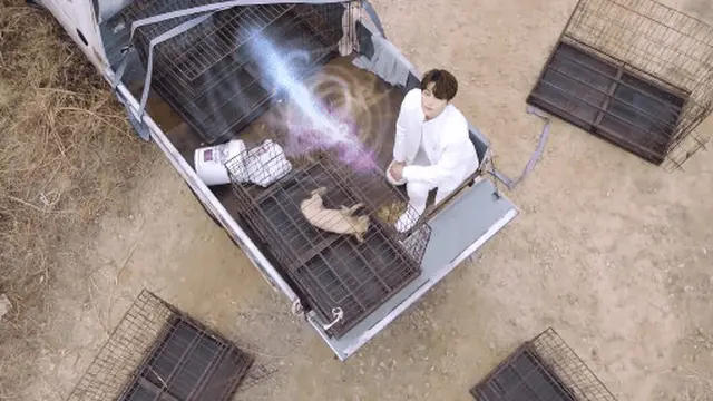 Angel's Last Mission: Love