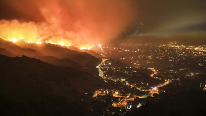 ilustrasi kebakaran hutan (sumber: iStockophoto)
