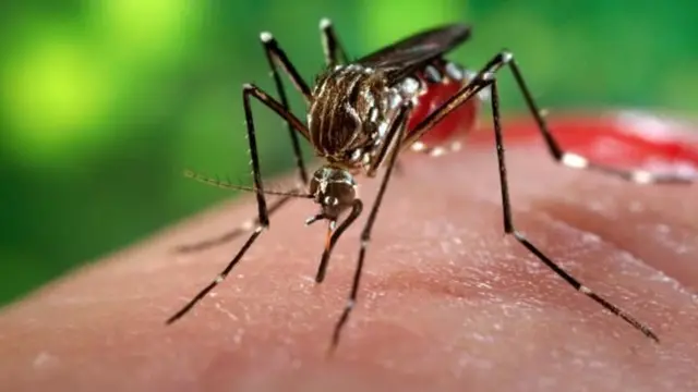 Gejala Flu Tulang pada Orang Dewasa