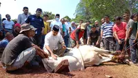 Gubernur DKI Jakarta Anies Baswesdan menyembelih sendiri hewan kurban miliknya di Hari Raya Idul Adha 1443 Hijriah, Minggu (10/7/2022). (Liputan6.com/Winda Nelfira)