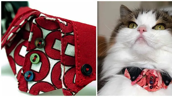 Foto: copyright rocketnews24.com