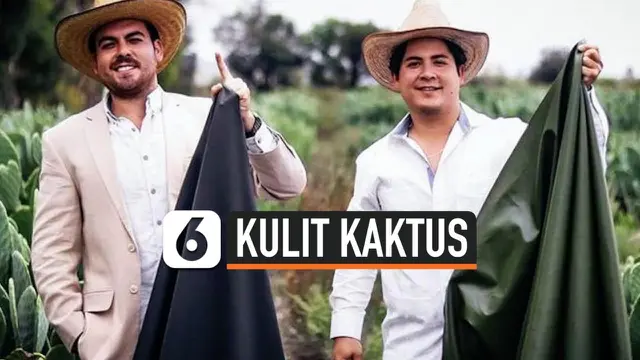 VIDEO: Pertama di Dunia, Bahan Kulit dari Kaktus