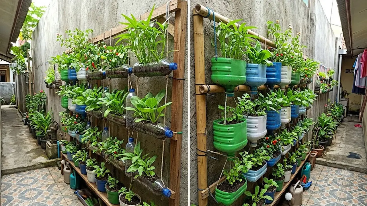 Cara Membuat Kebun Vertikal dari Galon Bekas dan Botol Plastik