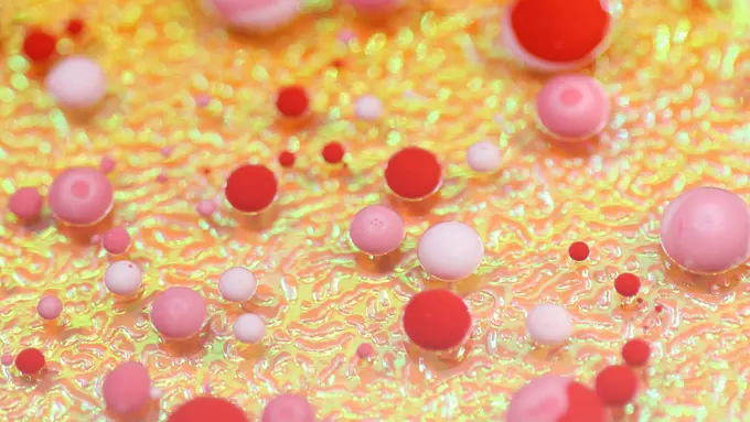 Ilustrasi stem cells