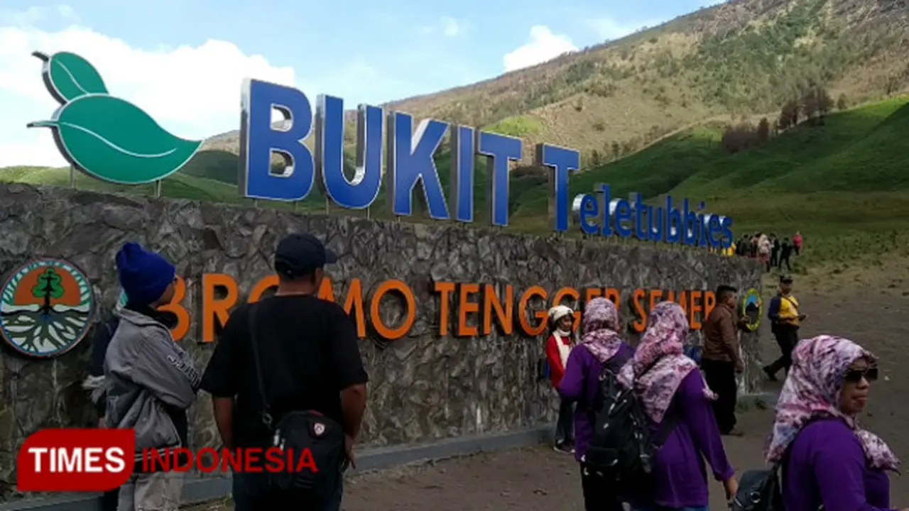 Tak Lagi Hitam, Bukit Teletubbies Bromo Kembali Ramai oleh Pengunjung