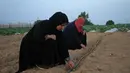 Sejumlah wanita Palestina bekerja di pertanian dekat perbatasan antara Jalur Gaza dan Israel, sebelah timur Kota Khan Younis, Jalur Gaza selatan, 28 Oktober 2020.  Banyak tanah subur di sepanjang perbatasan tersebut menjadi terlalu berbahaya untuk didekati warga Gaza. (Xinhua/Rizek Abdeljawad)