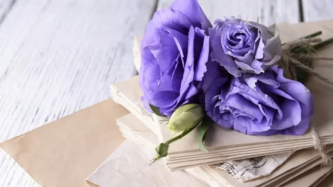 Foto: copyright thinkstockphotos.com