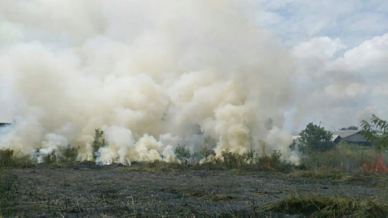 Kebakaran Lahan