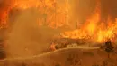 Petugas berusaha memadamkan api yang melanda hutan di California, AS AS (24/7). Setidaknya terdapat 300 orang yang telah dievakuasi oleh pihak berwenang ke tempat yang lebih aman, di luar kota. (REUTERS / Jonathan Alcorn)