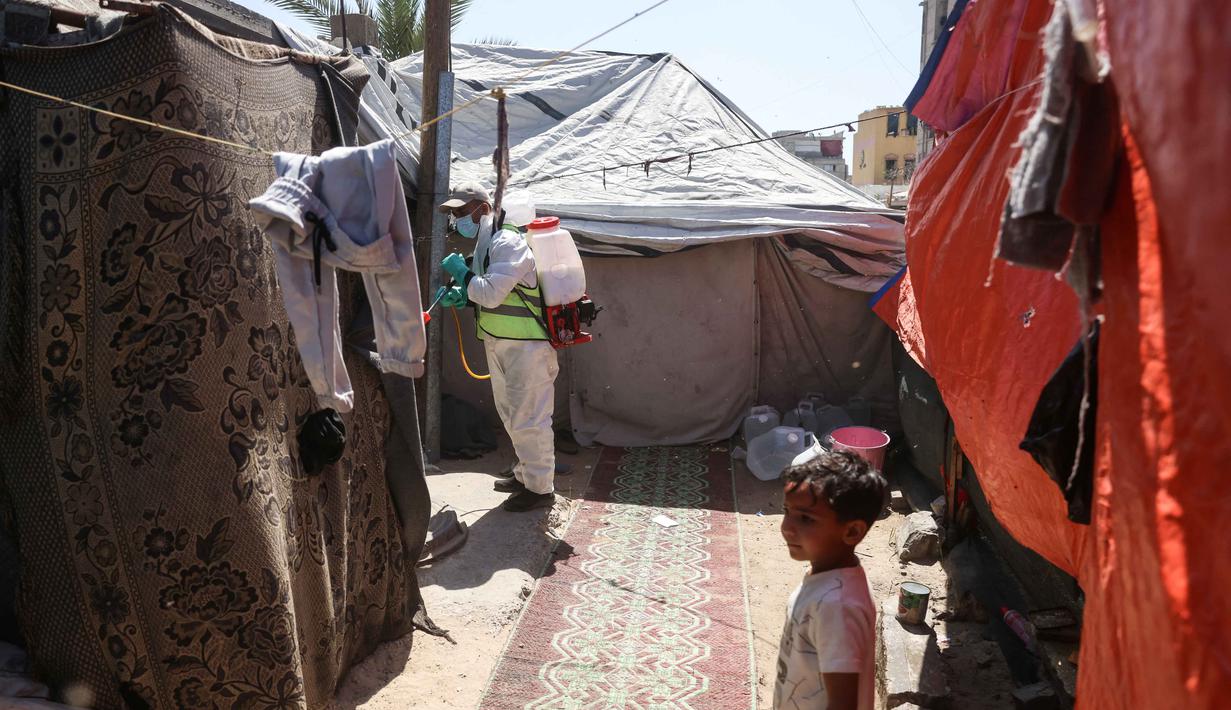 Serangan hama ini menambah daftar panjang penderitaan pengungsi di Gaza, selain ancaman serangan militer, kelaparan, dan krisis kesehatan. Tampak dalam foto, seorang anak menyaksikan pengungsi Palestina menyemprotkan cairan disinfektan pada jalan setapak dan tenda-tenda untuk membasmi serangga dan hewan pengerat di kamp pengungsian Khan Yunis, Jalur Gaza Selatan pada Rabu 22 April 2026. (Bashar Taleb/AFP)