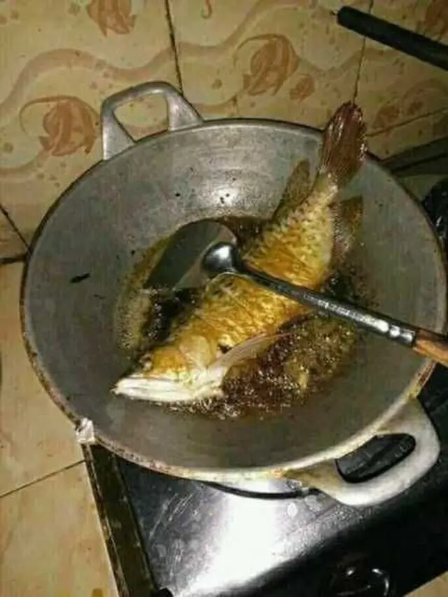 6 Momen Absurd Masak Arwana, Pencinta Ikan Hias Menangis Darah