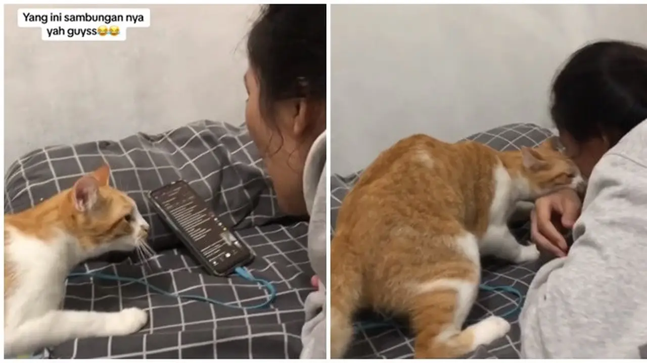 Momen Lucu Kucing Gigit Majikan yang Sedang Nyanyi karena Kesal, Merasa Terganggu
