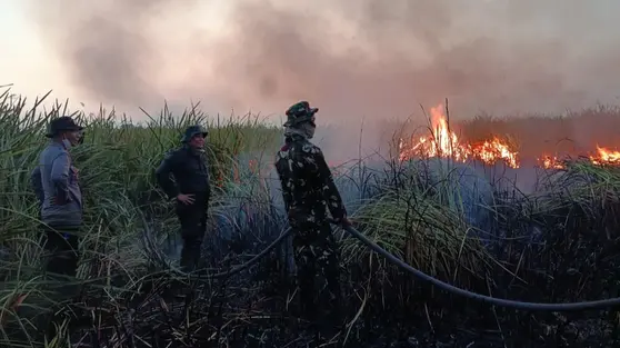 Karhutla di TN Way Kambas Capai 802 Hektare, Water Bombing Disiapkan