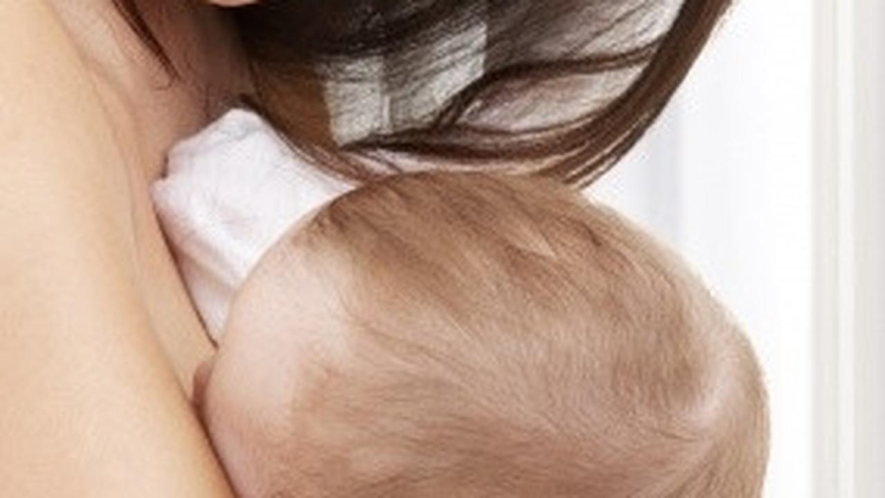 payudara dan menyusui