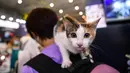 Seekor kucing peliharaan saat berada dalam ajang Pameran Hewan Peliharaan Internasional Chengdu di Chengdu, Provinsi Sichuan, China barat daya, pada 19 Juli 2020. Pameran Hewan Peliharaan Internasional Chengdu ke-9 berakhir pada Minggu (19/7). (Xinhua/Wang Xi)