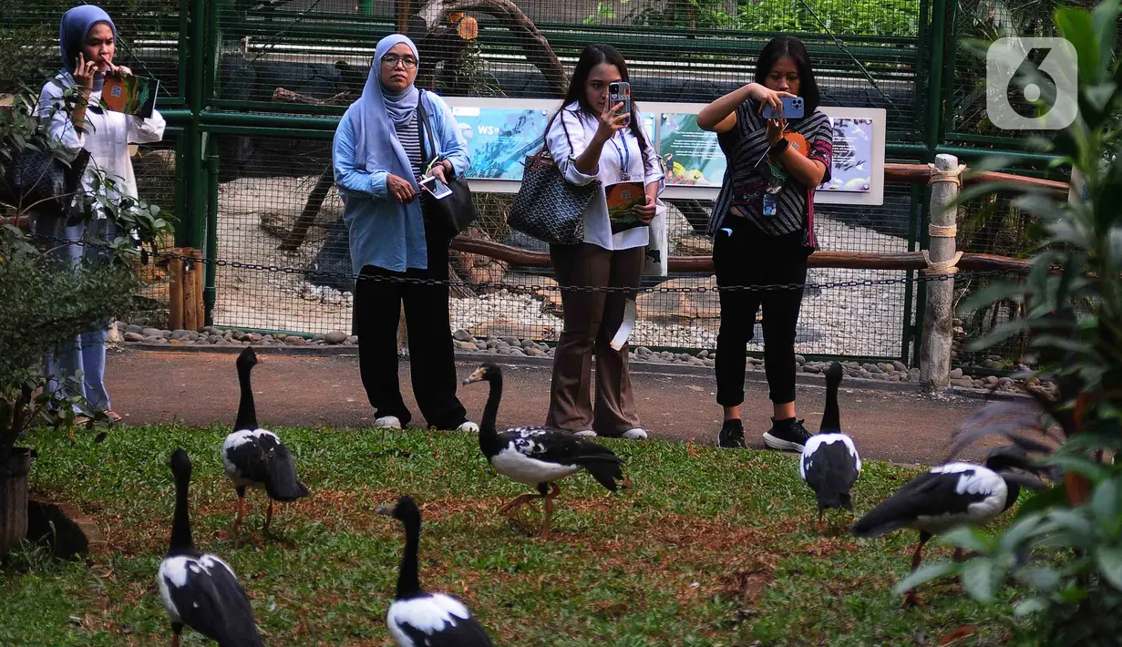 Jagat Satwa Nusantara berharap dengan adanya Taman Burung TMII dapat mempromosikan kesadaran tentang pelestarian satwa burung di lingkungan alam. (merdeka.com/imam buhori)
